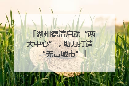 湖州德清启动“两大中心”，助力打造“无毒城市”
