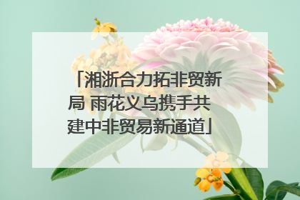 湘浙合力拓非贸新局 雨花义乌携手共建中非贸易新通道