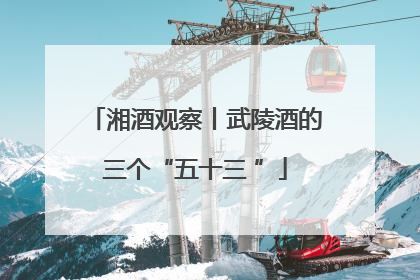 湘酒观察丨武陵酒的三个“五十三 ”
