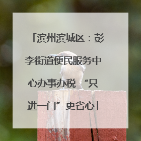 滨州滨城区：彭李街道便民服务中心办事办税 “只进一门”更省心