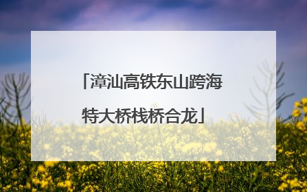 漳汕高铁东山跨海特大桥栈桥合龙
