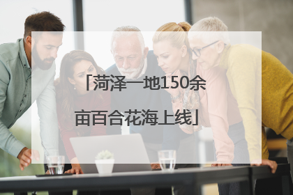 菏泽一地150余亩百合花海上线