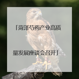 菏泽芍药产业高质量发展座谈会召开