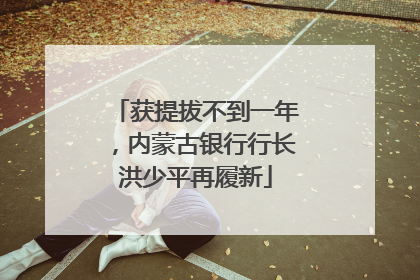 获提拔不到一年，内蒙古银行行长洪少平再履新