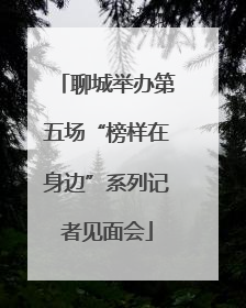 聊城举办第五场“榜样在身边”系列记者见面会