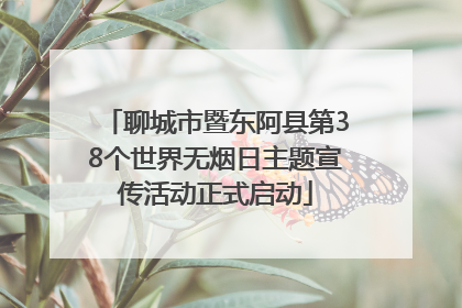 聊城市暨东阿县第38个世界无烟日主题宣传活动正式启动