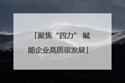 聚焦“四力” 赋能企业高质量发展