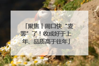 聚焦丨周口快“麦罢”了！收成好于上年、品质高于往年