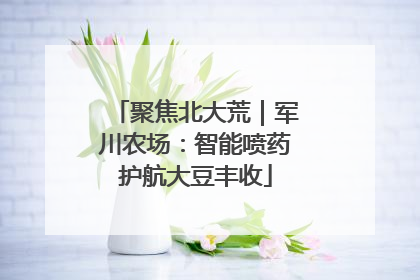 聚焦北大荒｜军川农场：智能喷药护航大豆丰收