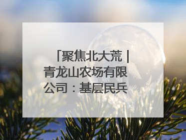 聚焦北大荒｜青龙山农场有限公司：基层民兵参与农业环境综合治理显效