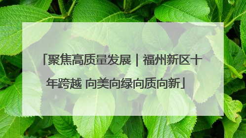 聚焦高质量发展｜福州新区十年跨越 向美向绿向质向新