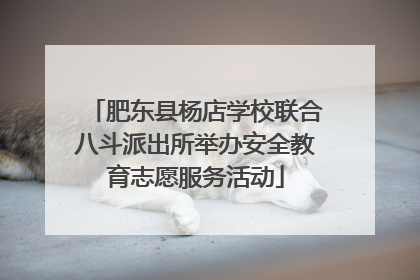 肥东县杨店学校联合八斗派出所举办安全教育志愿服务活动