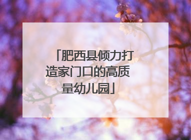 肥西县倾力打造家门口的高质量幼儿园