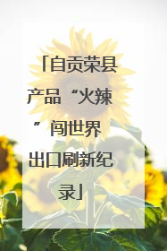 自贡荣县产品“火辣”闯世界 出口刷新纪录