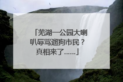 芜湖一公园大喇叭辱骂遛狗市民？真相来了……