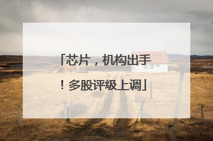 芯片，机构出手！多股评级上调