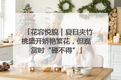 花容悦貌｜夏日夹竹桃盛开娇艳繁花，但观赏时“碰不得”