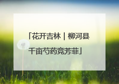 花开吉林｜柳河县千亩芍药竞芳菲