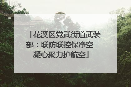 花溪区党武街道武装部：联防联控保净空 凝心聚力护航空