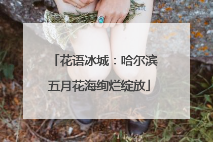 花语冰城：哈尔滨五月花海绚烂绽放