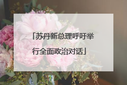 苏丹新总理呼吁举行全面政治对话