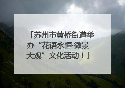 苏州市黄桥街道举办“花语永恒·微景大观”文化活动！
