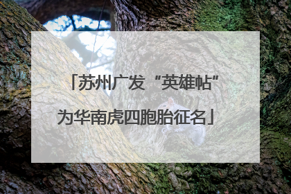 苏州广发“英雄帖”为华南虎四胞胎征名