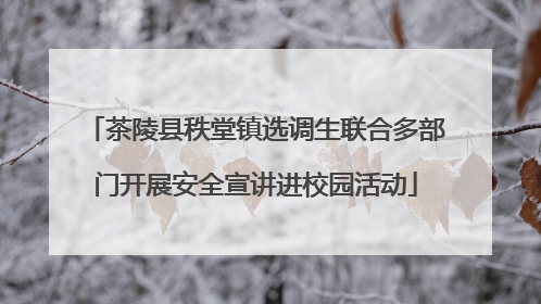 茶陵县秩堂镇选调生联合多部门开展安全宣讲进校园活动