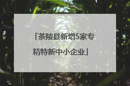 茶陵县新增5家专精特新中小企业