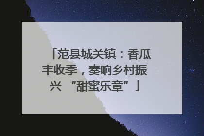 范县城关镇：香瓜丰收季，奏响乡村振兴 “甜蜜乐章”