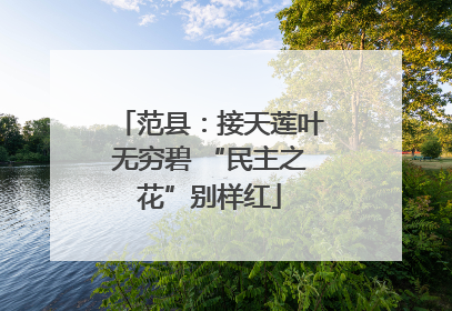 范县：接天莲叶无穷碧 “民主之花”别样红