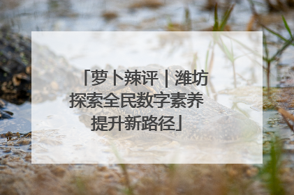 萝卜辣评｜潍坊探索全民数字素养提升新路径