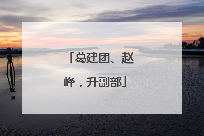 葛建团、赵峰，升副部