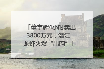 董宇辉4小时卖出3800万元，潜江龙虾火爆“出圈”