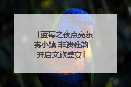 蓝莓之夜点亮东夷小镇 非遗雅韵开启文旅盛宴