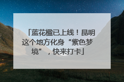 蓝花楹已上线！昆明这个地方化身“紫色梦境”，快来打卡