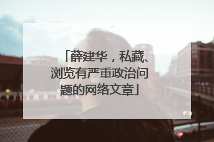 薛建华，私藏、浏览有严重政治问题的网络文章