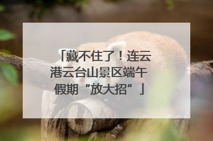 藏不住了！连云港云台山景区端午假期“放大招”