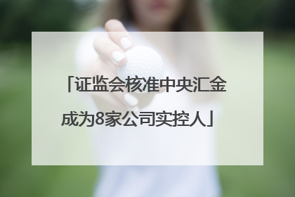 证监会核准中央汇金成为8家公司实控人