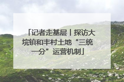 记者走基层丨探访大垸镇和丰村土地“三统一分”运营机制