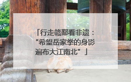 行走赣鄱看非遗：“希望岳家拳的身影遍布大江南北”