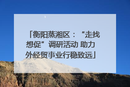 衡阳蒸湘区：“走找想促”调研活动 助力外经贸事业行稳致远