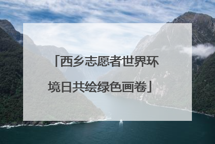 西乡志愿者世界环境日共绘绿色画卷