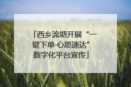 西乡流塘开展“一键下单·心愿速达”数字化平台宣传