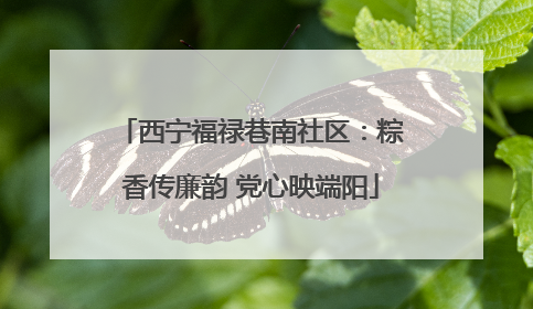 西宁福禄巷南社区：粽香传廉韵 党心映端阳