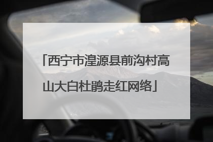 西宁市湟源县前沟村高山大白杜鹃走红网络