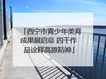 西宁市青少年美育成果展启幕 四千作品诠释高原精神