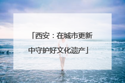 西安：在城市更新中守护好文化遗产