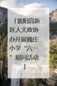 襄阳高新区人大政协办开展魏庄小学“六一”慰问活动