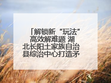 解锁新“玩法” 高效解难题 湖北长阳土家族自治县综治中心打造矛盾纠纷调处“终点站”